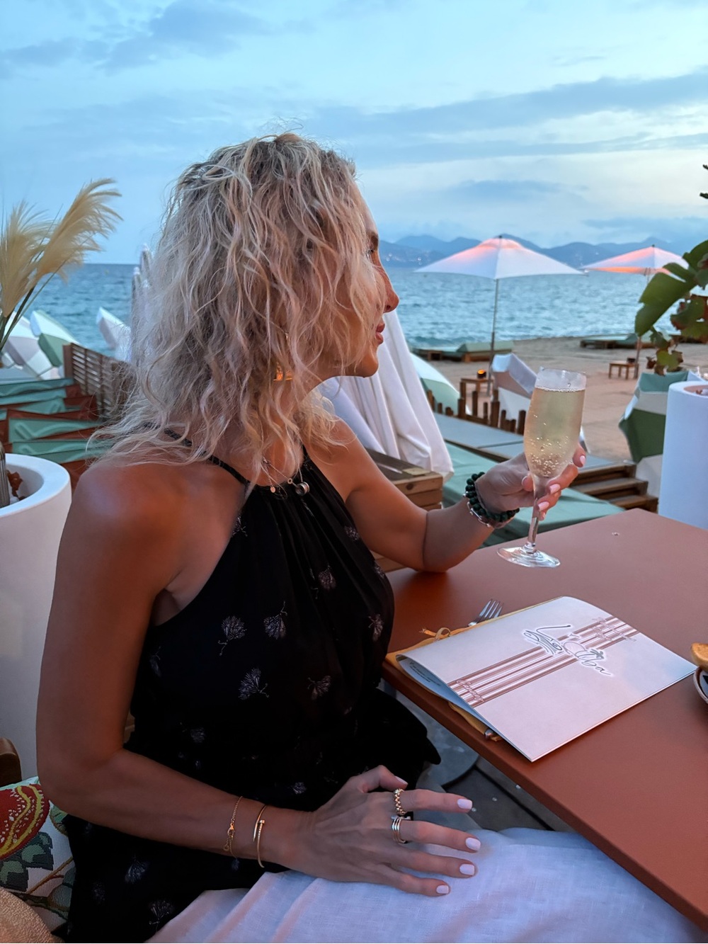 Joie Black Halter Top with Silver Floral Print